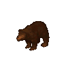 Animal bear brown.png
