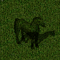 Etheral Horse