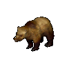 Animal bear grizzly.png