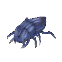 Animal beetle.png