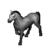 Animal horse gray.png