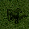 Ethereal Horse.jpg